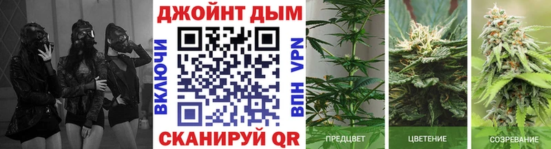 Купить закладку Мариинский Посад ГАШИШ Кокаин A PVP MDMA МЕФ