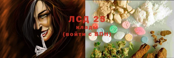 шишки Козловка