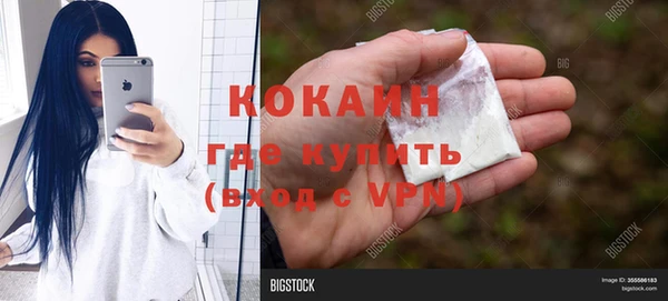 шишки Козловка